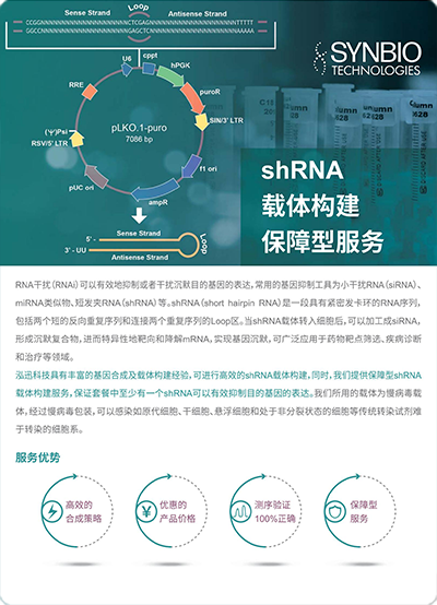 shRNA載體構建保障型服務