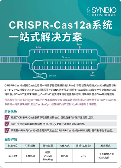 CRISPR-Cas12a 系統一站式解決方案