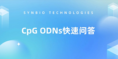 CpG ODNs快速問(wèn)答