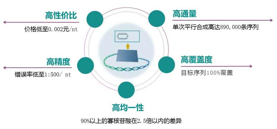 引物池（Oligo Pool）的優勢